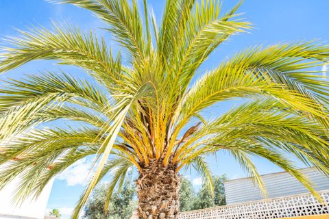 Villa a La Marina, Alicante, La Marina - € 275.000 | Ref: 5932VA - foto 23